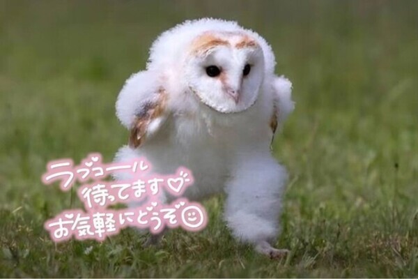 次のご案内は18時以降〜🈳