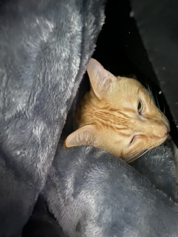 おった〜次回23時頃〜🈳