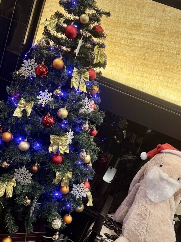 初日ありがとでした！