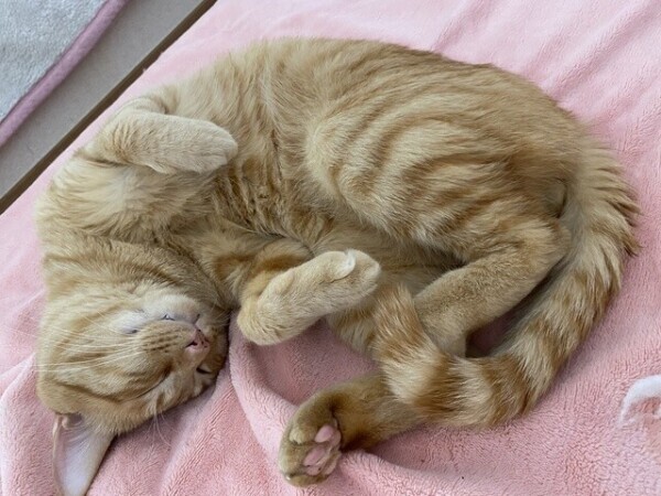 次回1時40分頃〜🈳