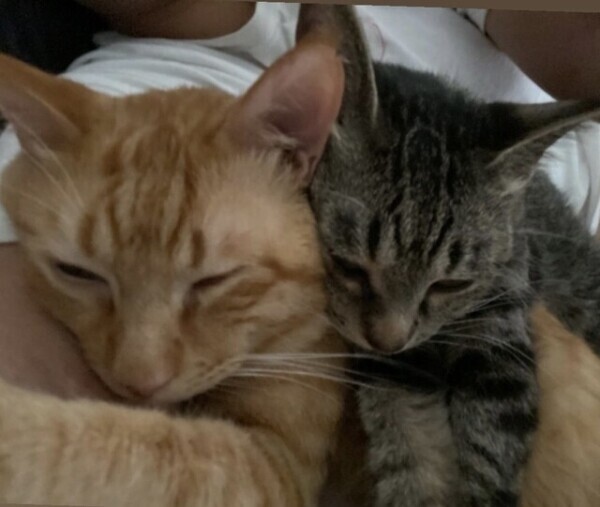 次回1時頃〜🈳