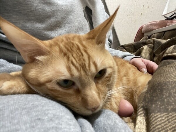 今の今まで飲んでたちぬ