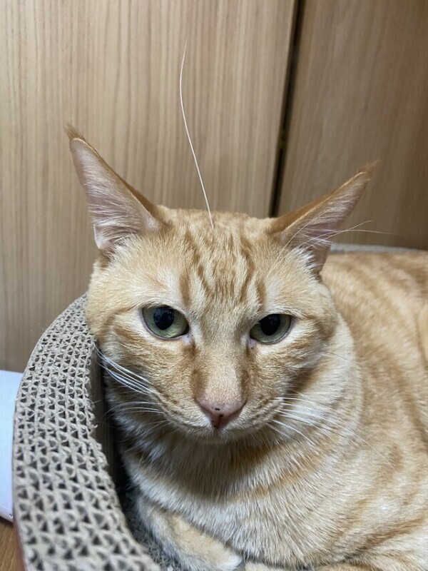 次回23時半頃〜🈳