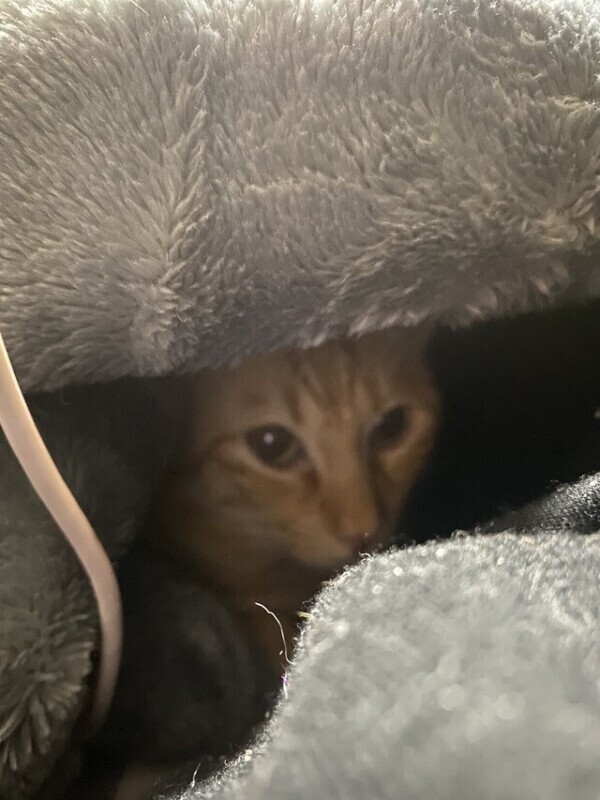 次回20時頃〜🈳