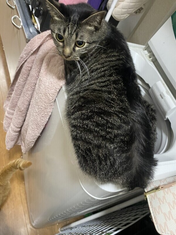 次回0時半頃〜🈳