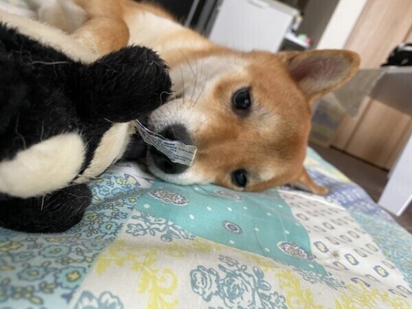 次回21時45分頃〜🈳