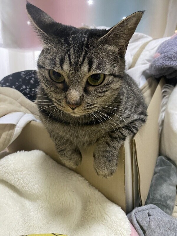 次回1時40分頃〜🈳