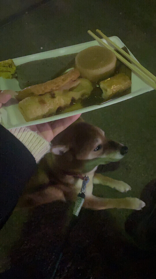 時間21時30分後〜🈳