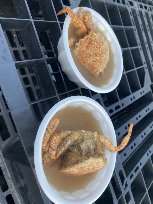 次回0時50分頃〜🈳