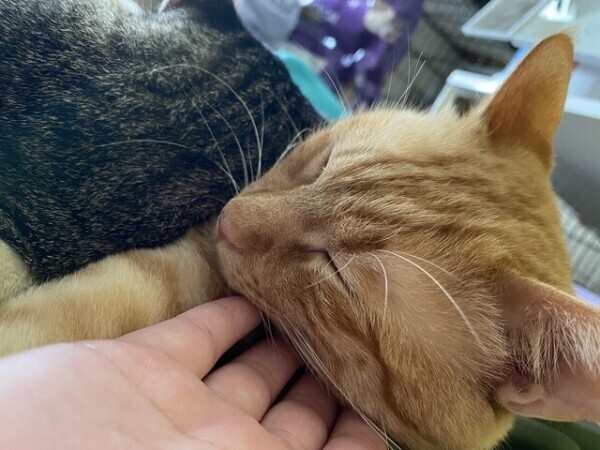 おる〜次回21時45分頃〜🈳