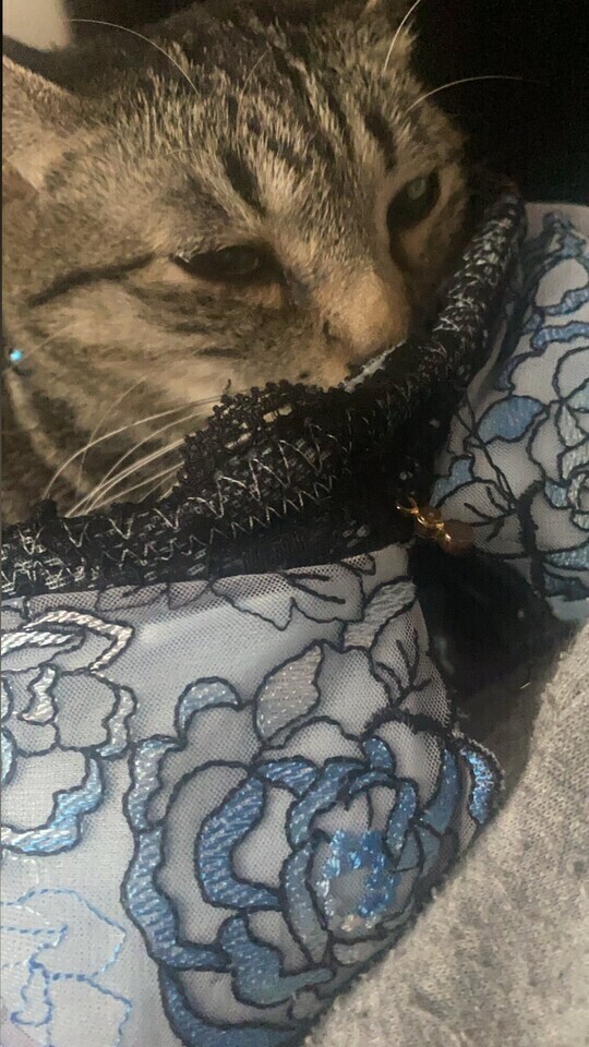 次回23時30分頃〜🈳