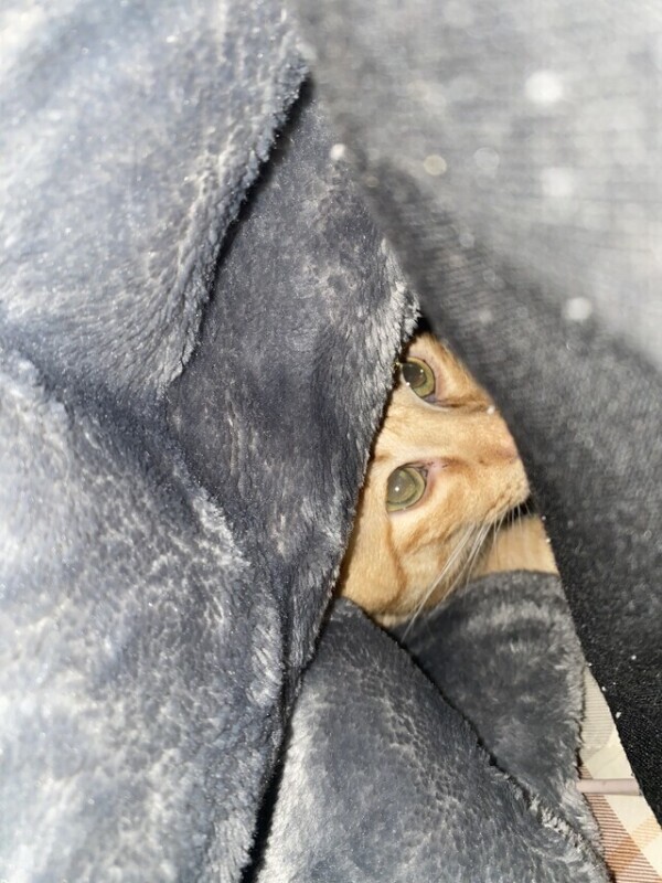 🈳いたぞいっ❤️‍🔥