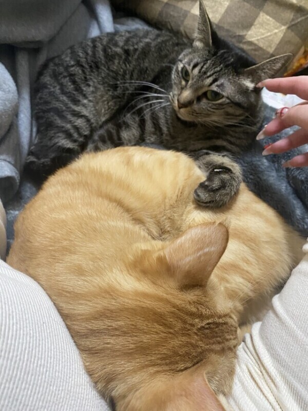 🈳いたぞいっ❤️‍🔥