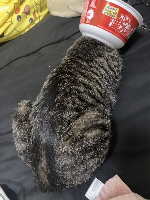 次回23時頃〜🈳