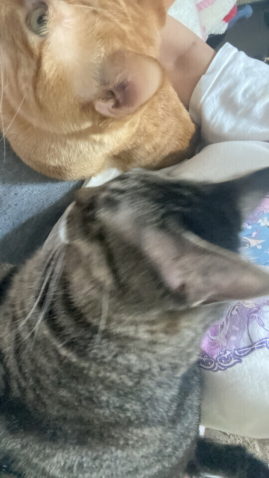 次回20時10分頃〜🈳