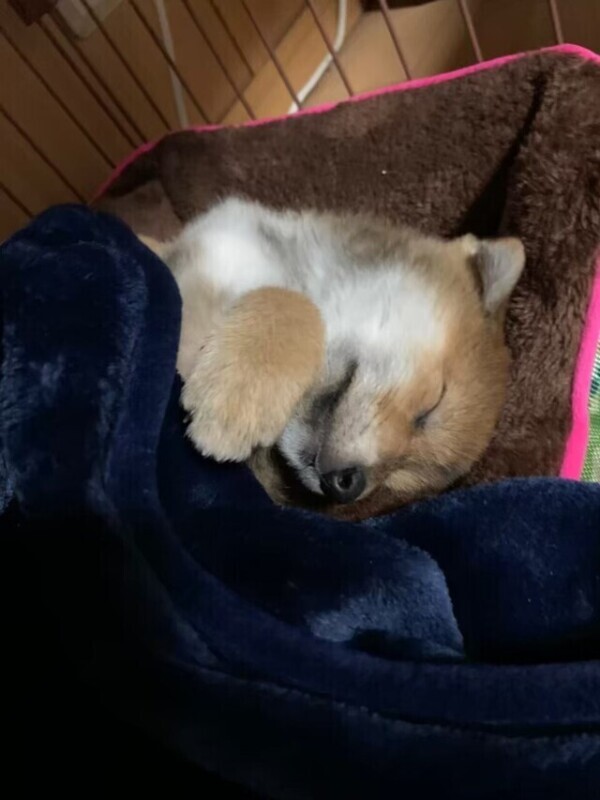 次回22時頃〜🈳