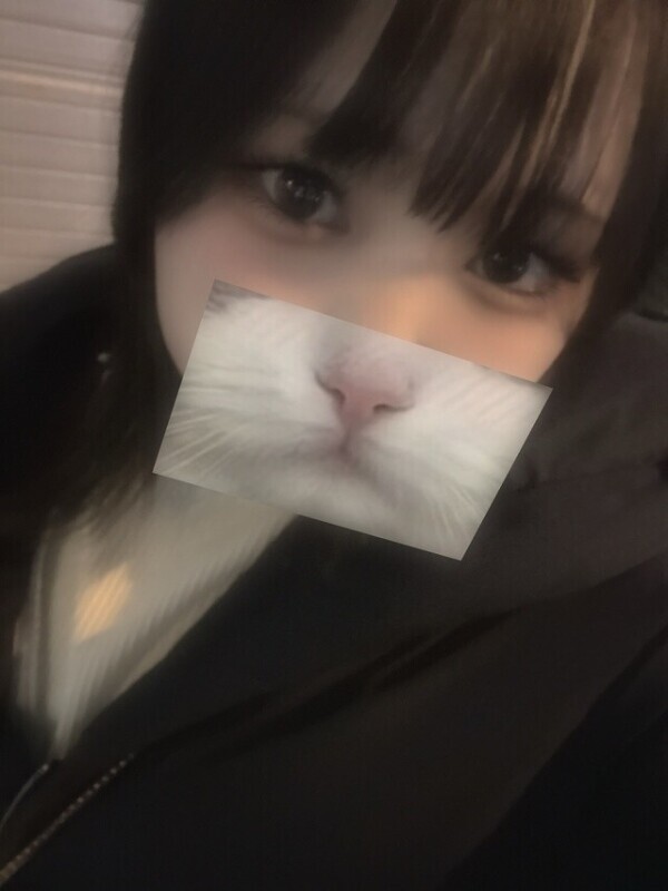 💗次回0時〜🈳