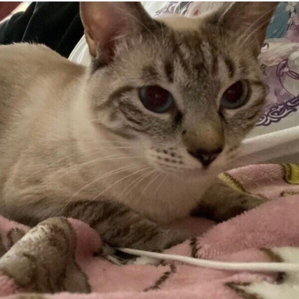 次回21時半頃〜🈳