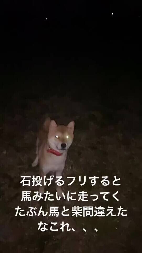 あいどるこむさん