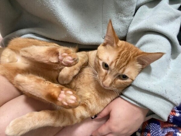 次回23時15分頃〜🈳