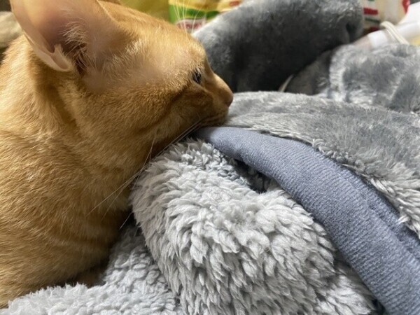 次回25時20分頃〜🈳