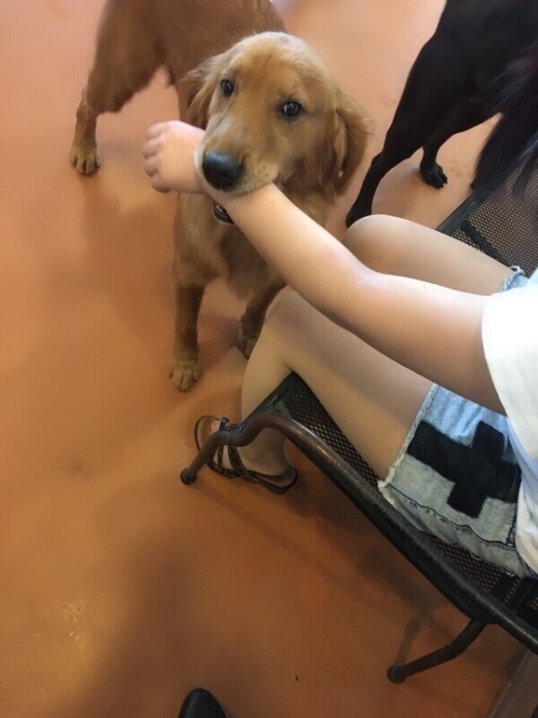 次回19時半頃〜🈳