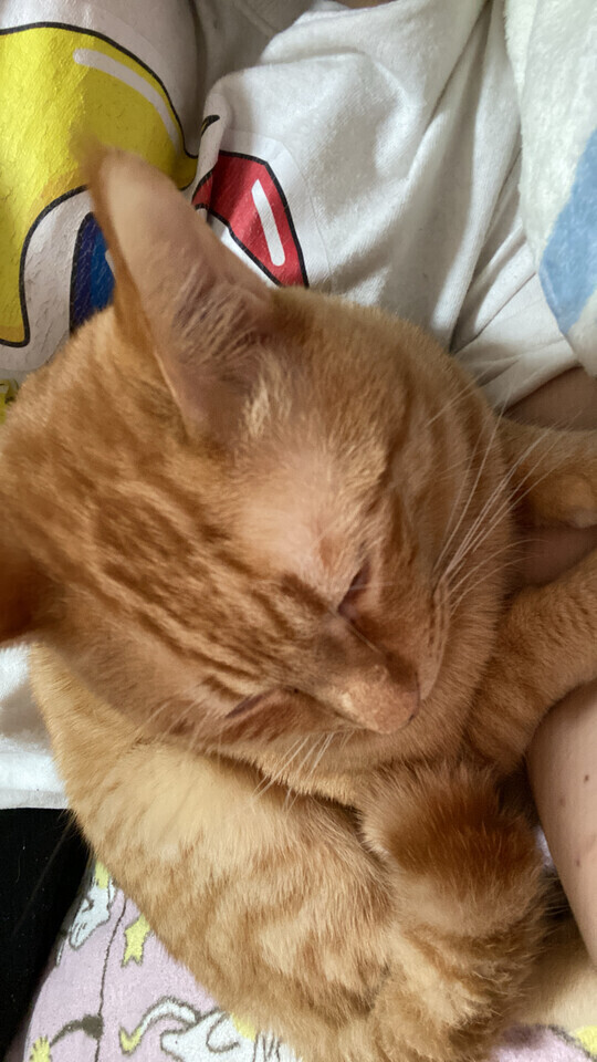 次回0時40分頃〜🈳