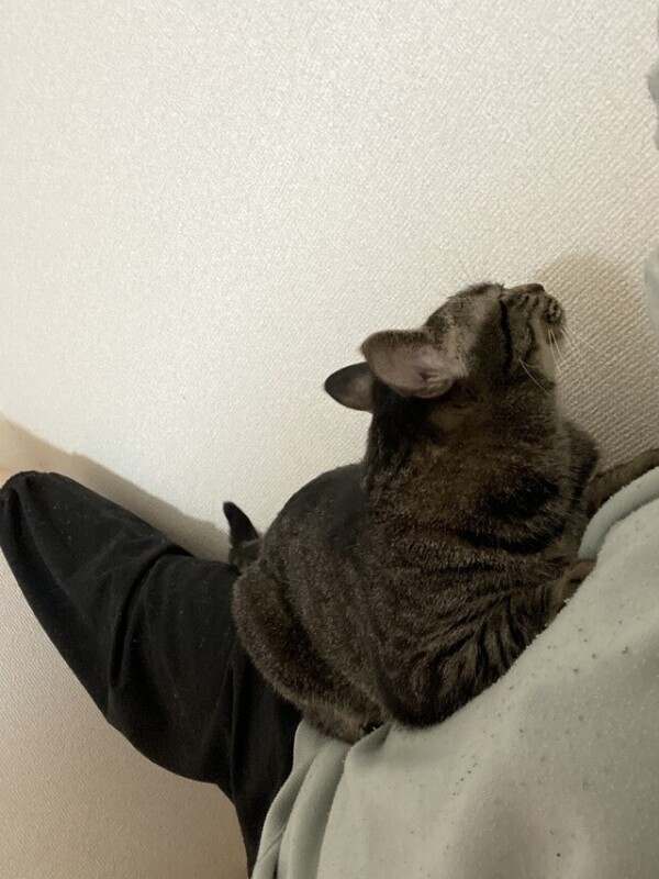 次回0時50分頃〜🈳