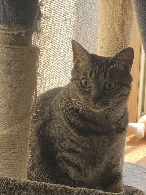 次回0時20分頃〜🈳