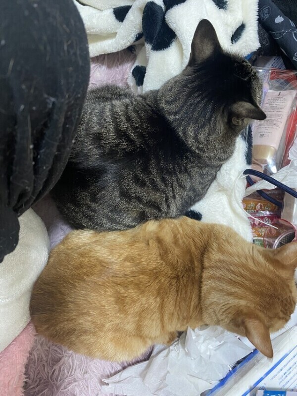 次回1時40分頃〜🈳