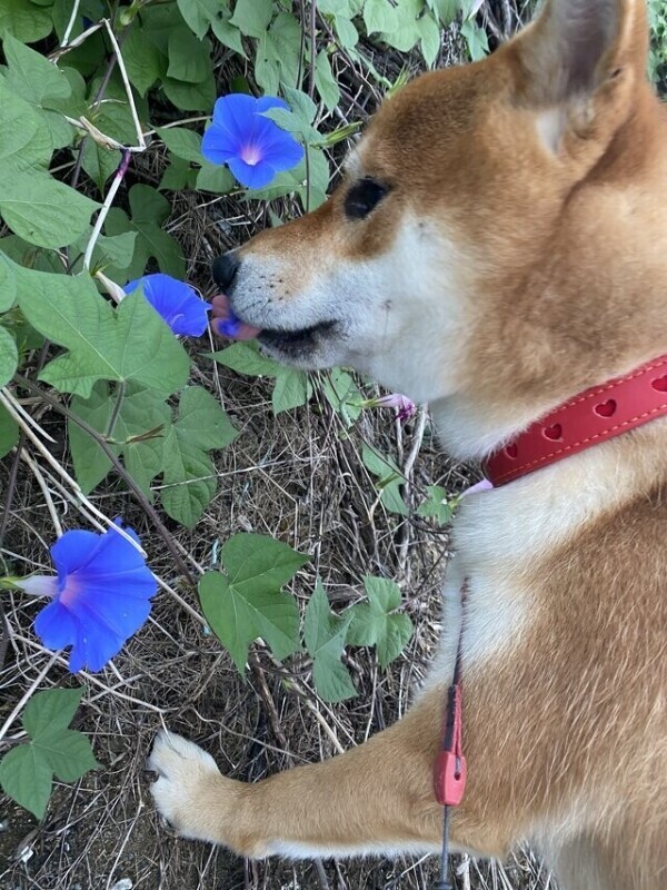 次回0時40分頃〜🈳