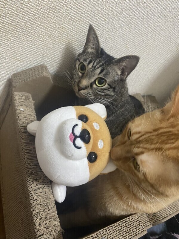 次回1時45分頃〜🈳