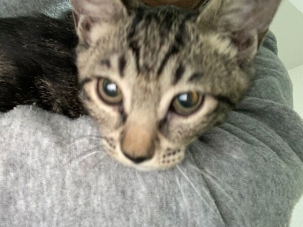 次回0時20分頃〜🈳