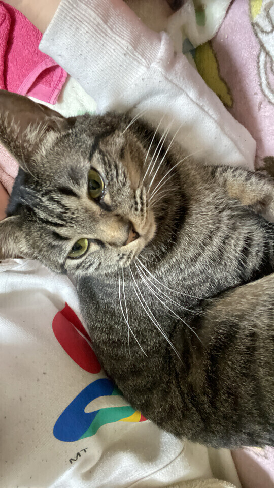 次回20時頃〜🈳