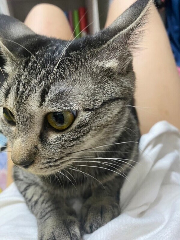 次回0時10分頃〜🈳