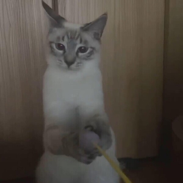 次回22時50分頃〜🈳