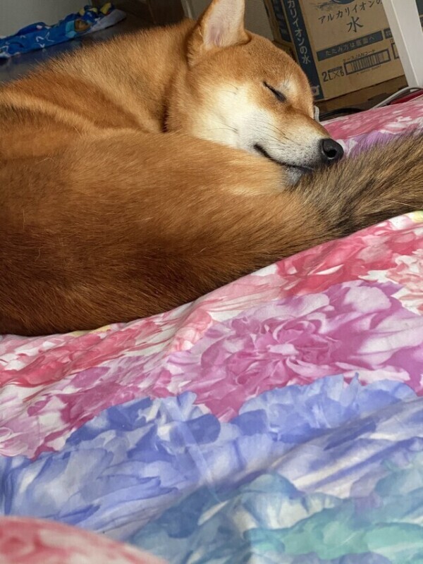 次回0時20分頃〜🈳