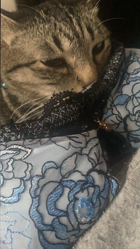 胃が、、、
