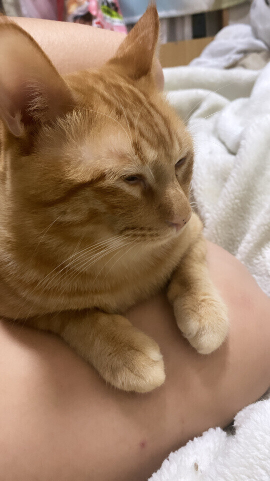 次回22時25分頃〜🈳