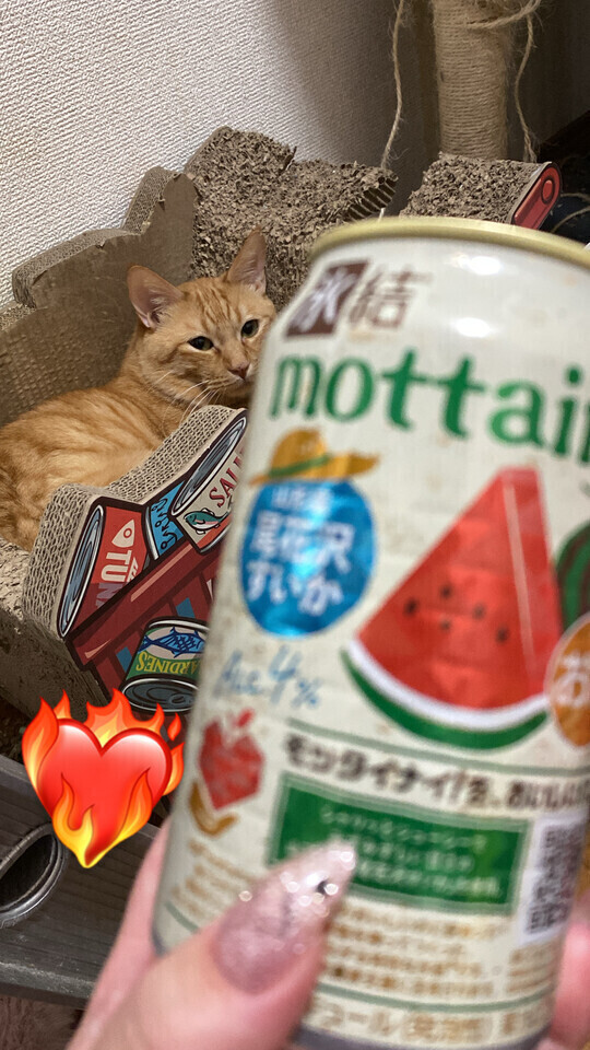 呑んじゃうよ😾