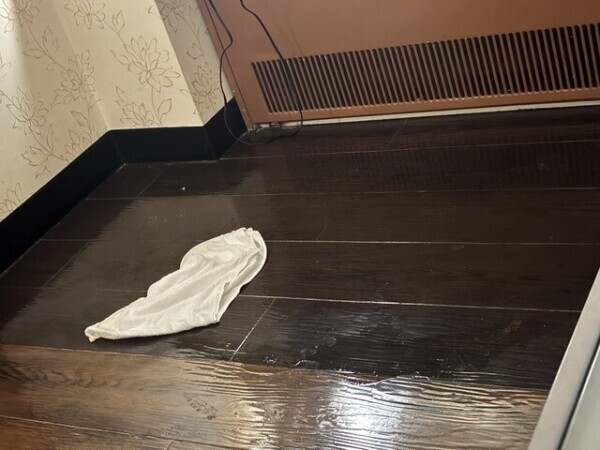 Sさんありがとうございます♪