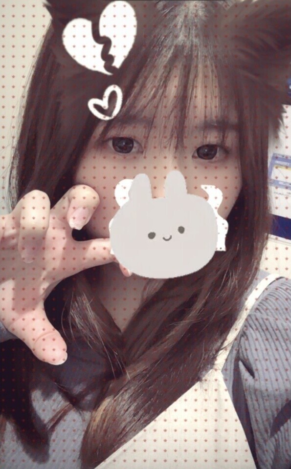 🐱？🐰？