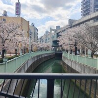 嘉島けい