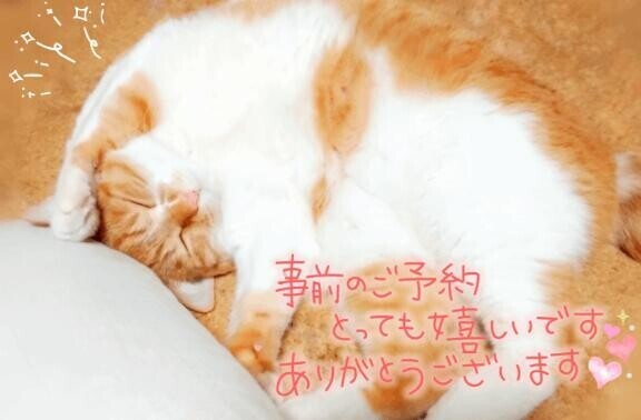 仲良し様ー！