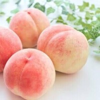 植村ちはる
