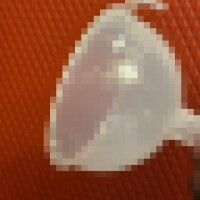 倉木ゆみ