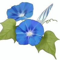 植村ちはる
