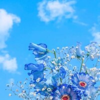 大丈夫でしたか？