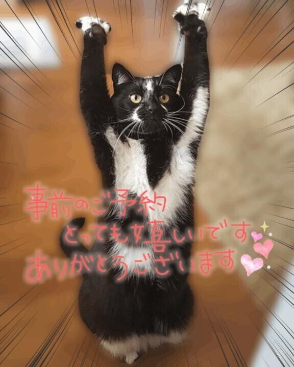 お礼と予定と独り言♪