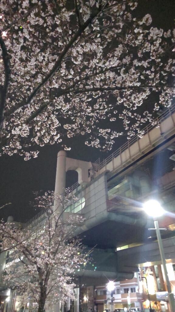 夜桜♪